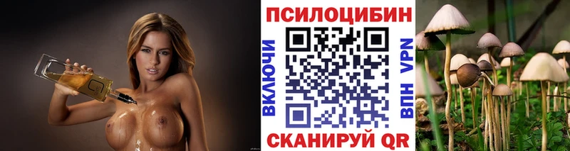 Купить закладки  Пушкино  Галлюциногенные грибы GOLDEN TEACHER 